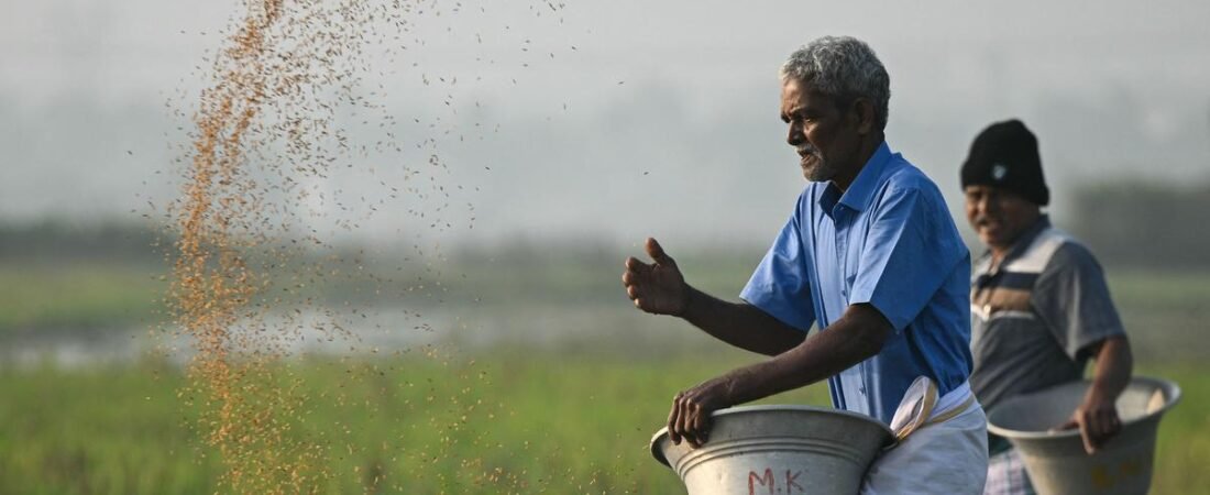 43% rain deficit so far, kharif crops likely to be hit: Centre