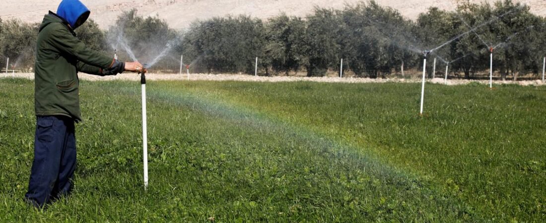 Agrivoltaics could feed energy-hungry AI and the world