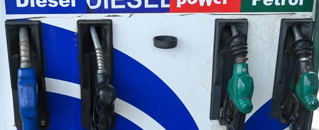 E20 superior, demand for pure petrol and E10 choice ‘ignores realities’: Centre