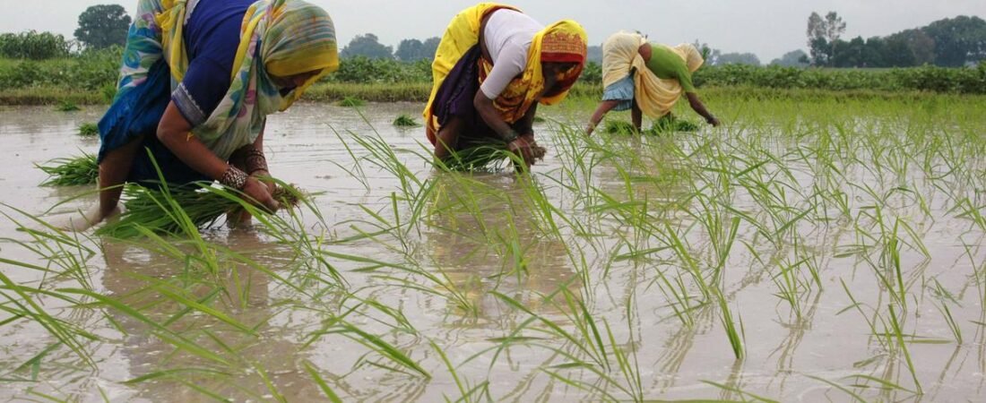 Maharashtra to miss June 30 deadline for farm loan waiver, disbursal to start on July 5