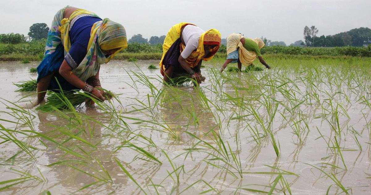 Maharashtra to miss June 30 deadline for farm loan waiver, disbursal to start on July 5