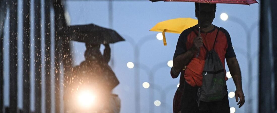Mumbai rains: One killed after tree falls on shop; city on red alert
