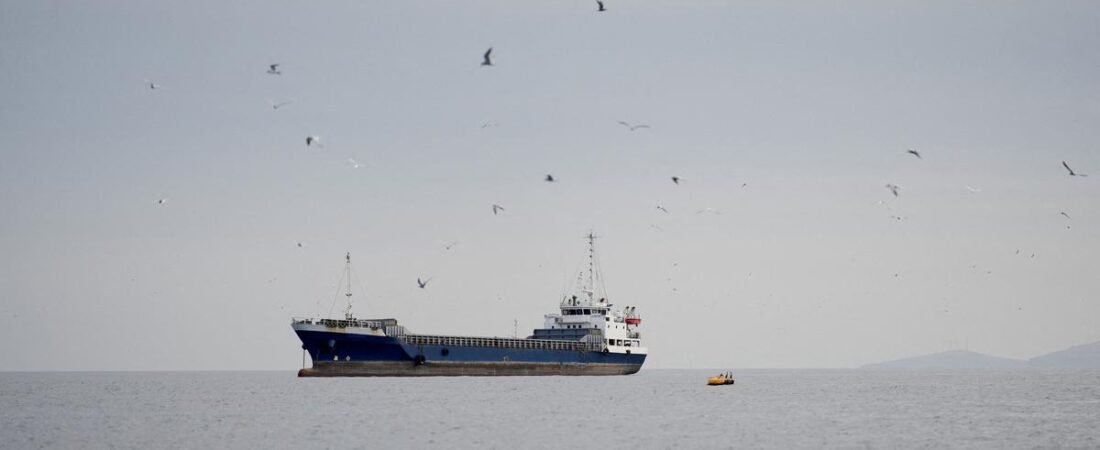 One Indian missing, 10 rescued after vessel attacked off Oman coast, says MEA