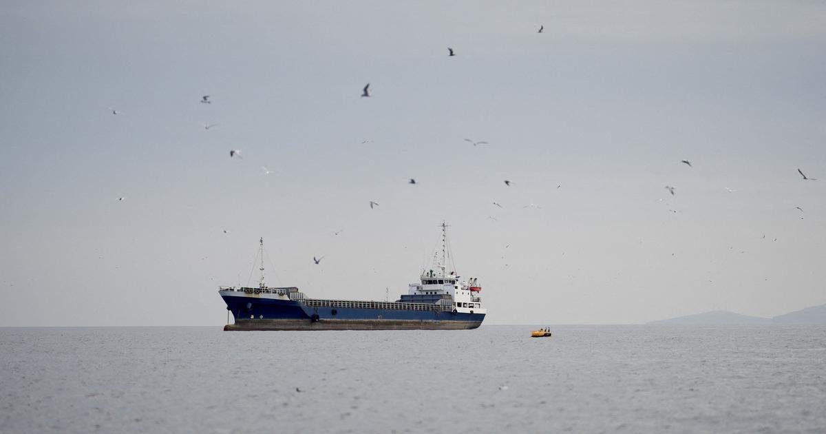 One Indian missing, 10 rescued after vessel attacked off Oman coast, says MEA
