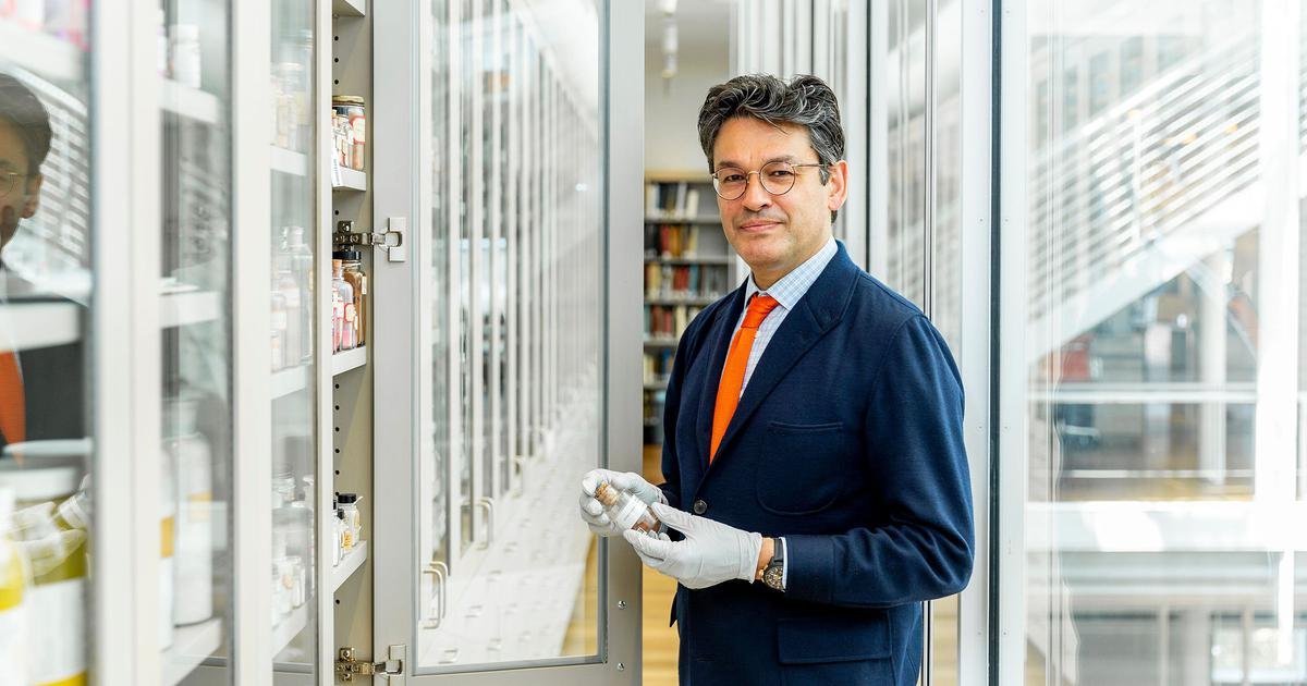 Interview: Narayan Khandekar, the keeper of colours at the Harvard Art Museum