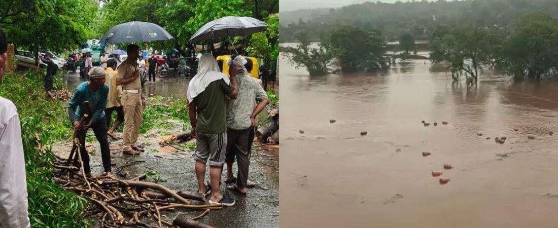 Rain updates: Waterlogging in Delhi, 3,000 LPG cylinders swept away in Maharashtra