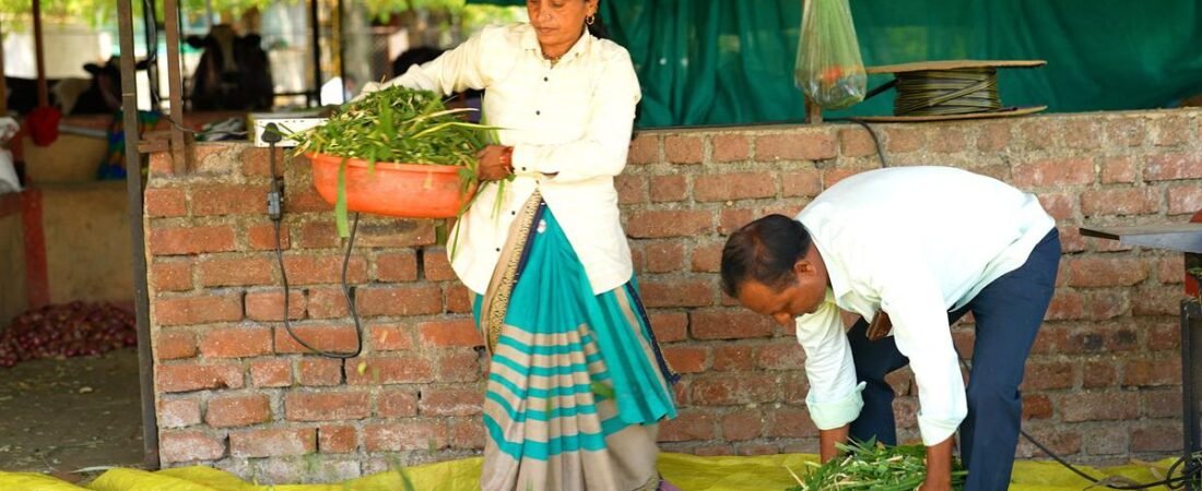Eco India, Episode 328: Meet the Indians rebuilding ecosystems from the ground up