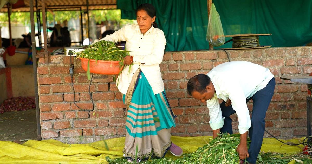 Eco India, Episode 328: Meet the Indians rebuilding ecosystems from the ground up