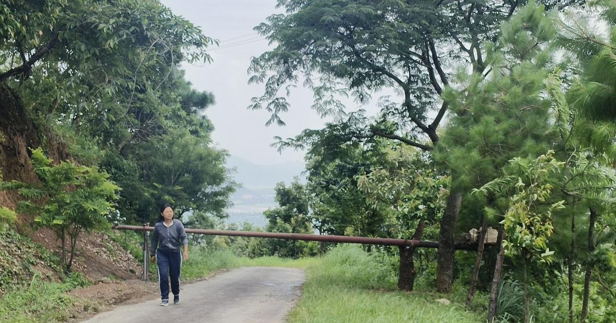 How ambush of church leaders on a forested road escalated Naga-Kuki conflict across Manipur hills
